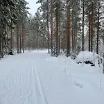 公寓 Lomakaksio Vierumaeen Golfkentaen Vieressae 黑诺拉