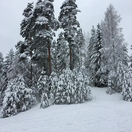 Апартаменты Lomakaksio Vierumaeen Golfkentaen Vieressae *